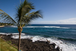 Kuhio Shores 415 Lanai View